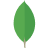 MongoDB